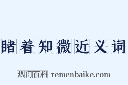 睹着知微近义词是什么意思的图片